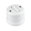 Classic Porcelain Surface-mounted 1 Gang Button Rocker Wall Switch with CE/ROHS