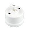 Vintage Ceramic Surface Mounted Rotary Wall Switches