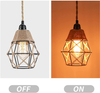 Industrial Plug-In Pendant Light with Plug Cord for Dining Room