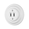 15W Porcelain Retro Double USB Charging Electric Wall Socket