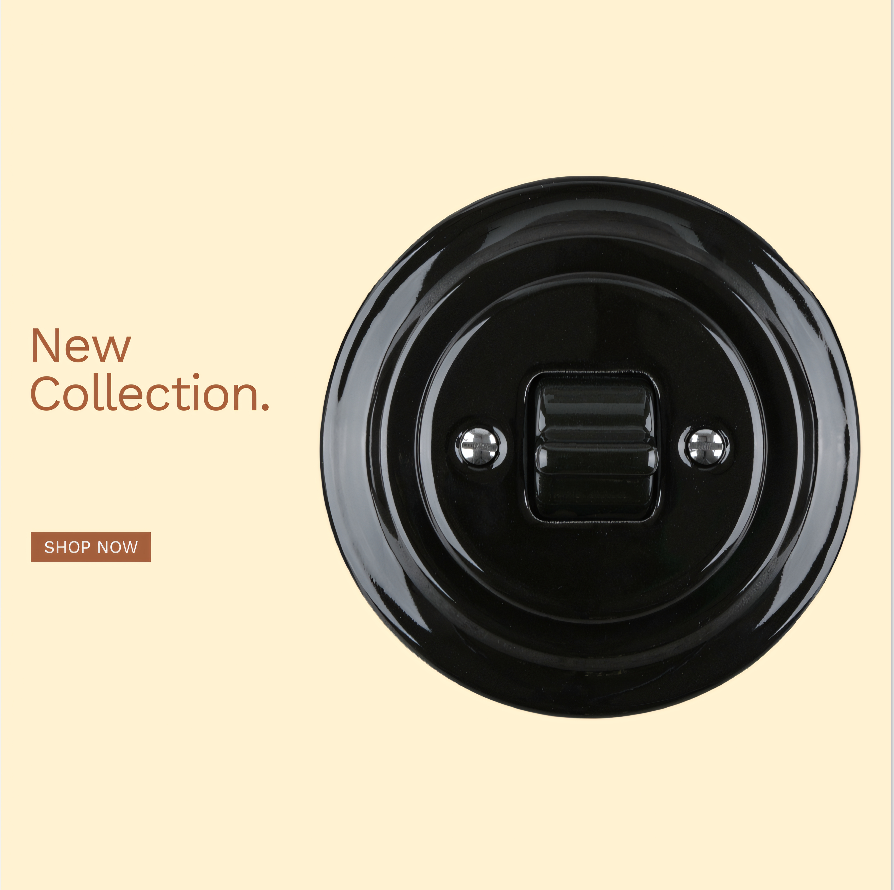 porcelain wall switches